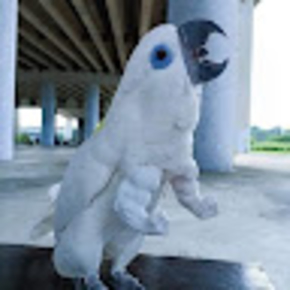 Meet your Posher, Andrew - Picture 1 of 1